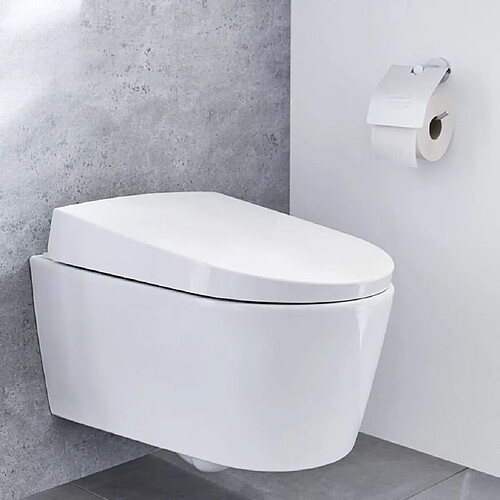 Kleine Wolke Porte-papier hygiénique avec couvercle Apollo Aluminium