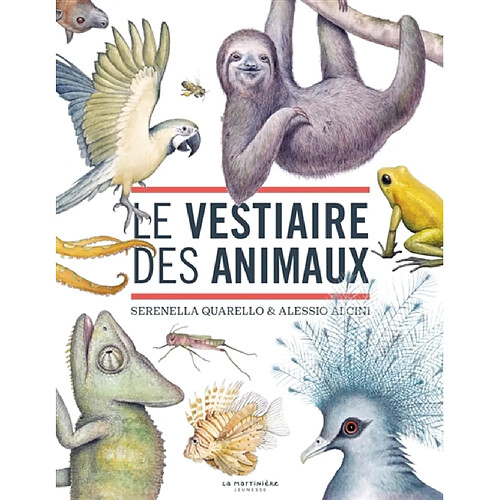 Le vestiaire des animaux