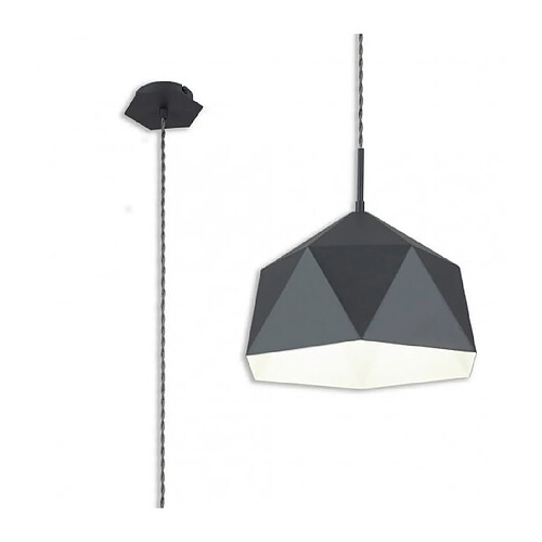 Luminaire Center Suspension 1 ampoule Graphite,intérieur blanc