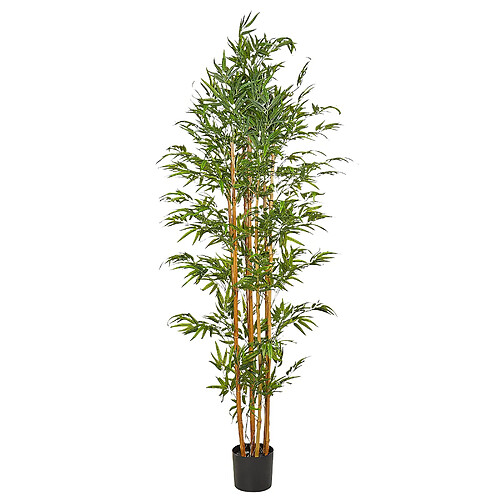 Beliani Plante artificielle BAMBOO Vert