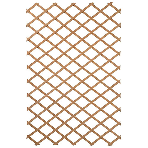 Nature Palissade de jardin 50 x 150 cm Bois l