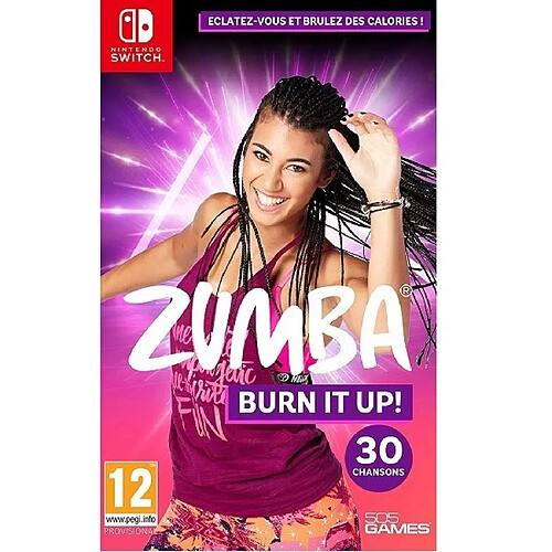 505 Games Zumba Burn it Up