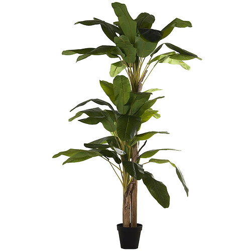 Plante décorative Alexandra House Living Plastique Bananaier 23 x 234 x 23 cm