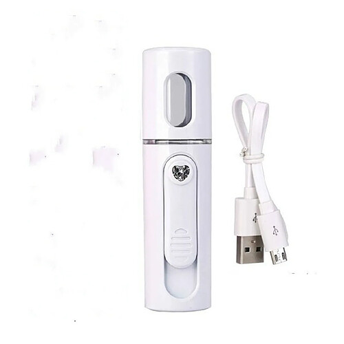 Wewoo Facial Steamer Nano Handy Face Pulvérisateur d'humidité Rechargeable Mini Recharge USB blanc