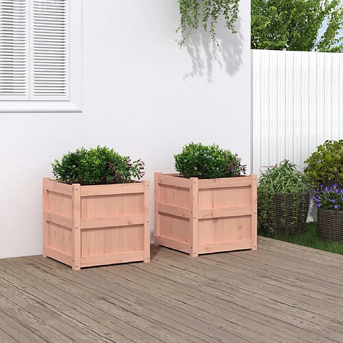 vidaXL Jardinières 2 pcs bois massif douglas