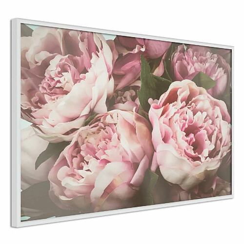 Paris Prix Affiche Murale Encadrée Pastel Peonies 90 x 60 cm Blanc