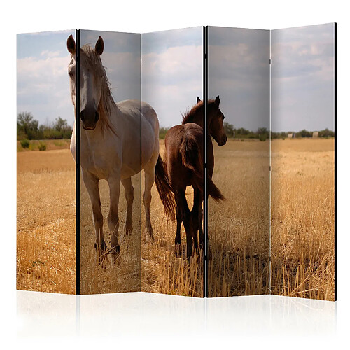 Artgeist Paravent - Horse and foal II [Room Dividers] [225x172]