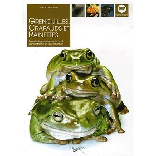 Grenouilles, crapauds et rainettes