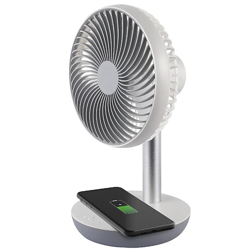 Ardes AR5F04WC ventilateur Argent