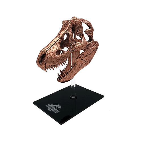 Factory Entertainment Jurassic Park - Réplique mini T-Rex Skull 10 cm