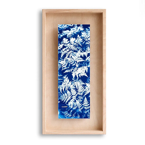 Swabdesign Cadre Carpë cyanotype Fougères 40x20cm