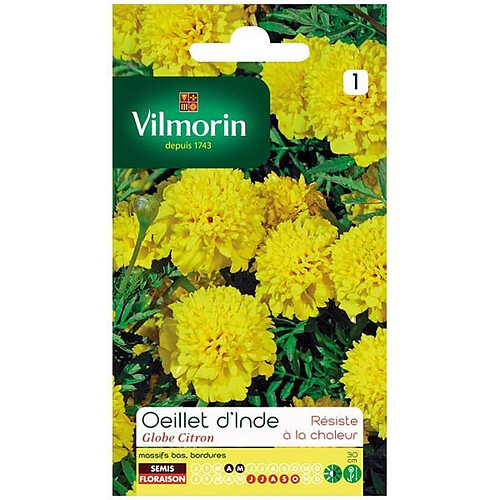 Vilmorin Sachet graines Oeillet d'inde Globe Citron