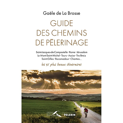 Guide des chemins de pèlerinage : Saint-Jacques-de-Compostelle, Rome, Jérusalem, le Mont-Saint-Michel, Tours, Assise, Tro Breiz, Saint-Gilles, Rocamadour, Chartres... : les 35 plus beaux itinéraires · Occasion