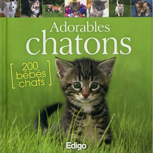 Adorables chatons · Occasion