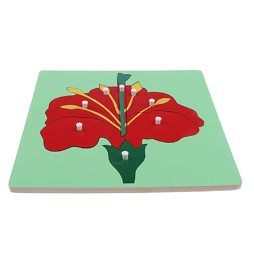 Montessori Fleur En Bois Plante Jigsaw Puzzle Panel Enfants Bébé Jouets Fleur