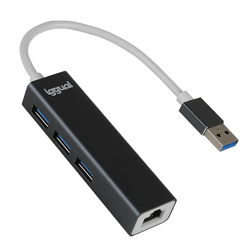 Câble DisplayPort iggual Noir