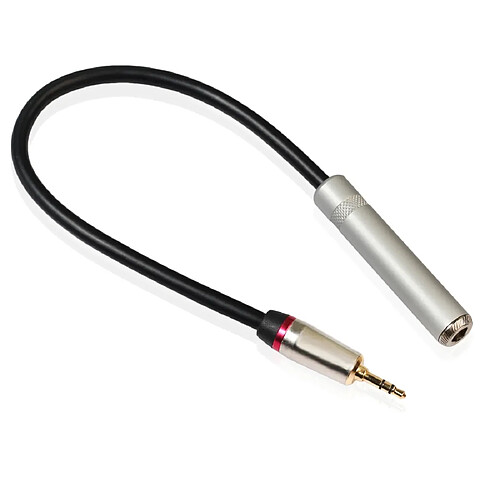 Wewoo Adaptateur Câble audio TC128MF mâle de Jack 3.5mm vers femelle de 6,5 mmlongueur 30 cm