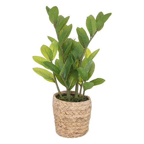 Atmosphera, Createur D'Interieur Zamioculcas artificiel avec pot naturel - Hauteur 41 cm - Vert