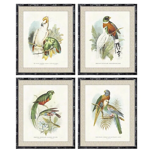 Cadre DKD Home Decor Oiseaux Moderne (50 x 2 x 60 cm) (4 Unités)