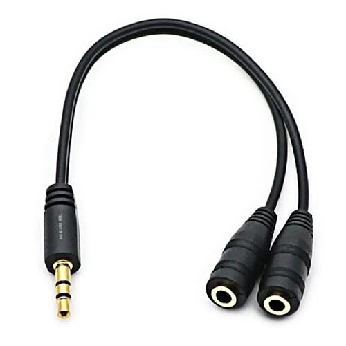 Tech Discount TD® Adaptateur Coupleur Sortie Double Jack - 3.5mm - cable et connectique pour audio-vidéo - accessoire de casques, telephone