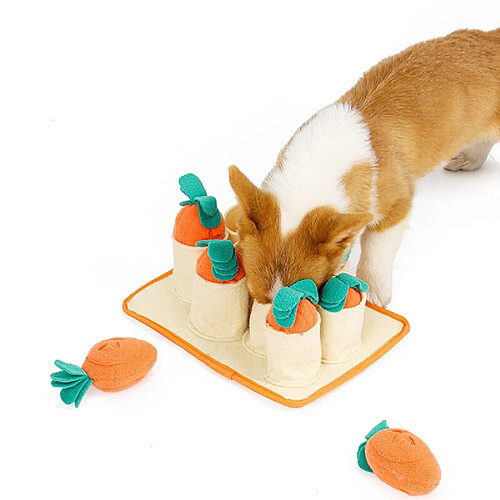 Universal Jeu de carottes, puzzle, jouets pour chiens, Slow Food, jouets d'entrainement.