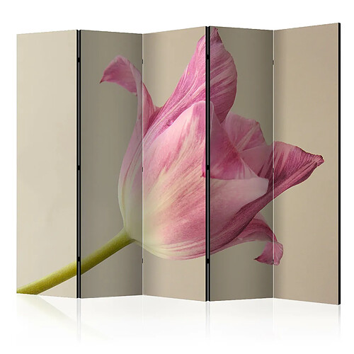 Artgeist Paravent - Pink tulip II [Room Dividers] [225x172]