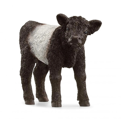 13969 - Schleich - Veau galloway