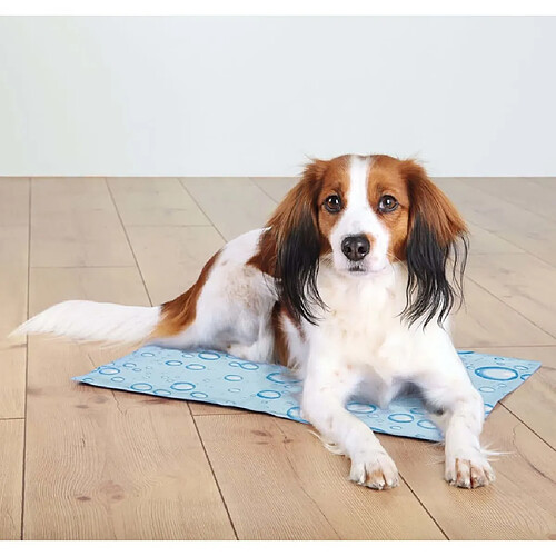 TRIXIE Tapis rafraîchissant pour chiens L 65x50 cm Bleu clair