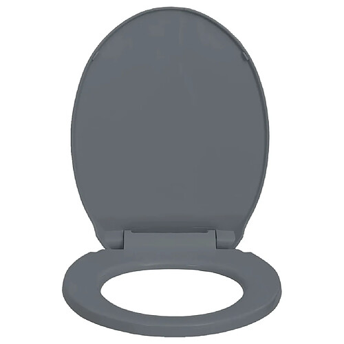 Helloshop26 Siège de toilette à fermeture en douceur abattant WC lunette cuvette salle de bain maison restaurant hôtel magasin ovale gris 02_0002918