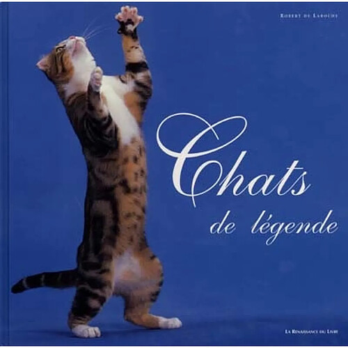 Chats de légende · Occasion