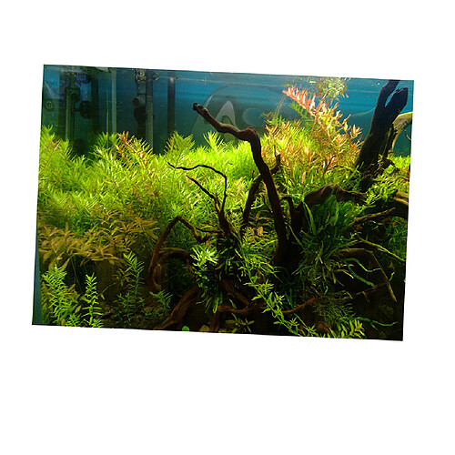 Autocollant de fond d'aquarium