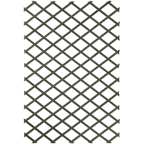 Nature Trellis de jardin 50 x 150 cm Bois Vert