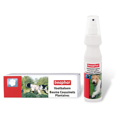 Beaphar - Baume Coussinets Plantaires pour Chien et Chat - 40ml