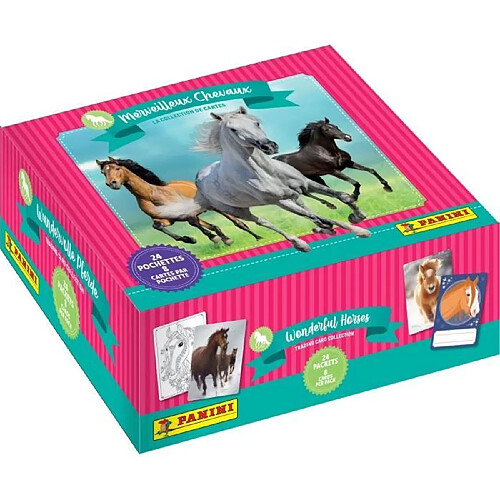 Panini Boîte de cartes Chevaux