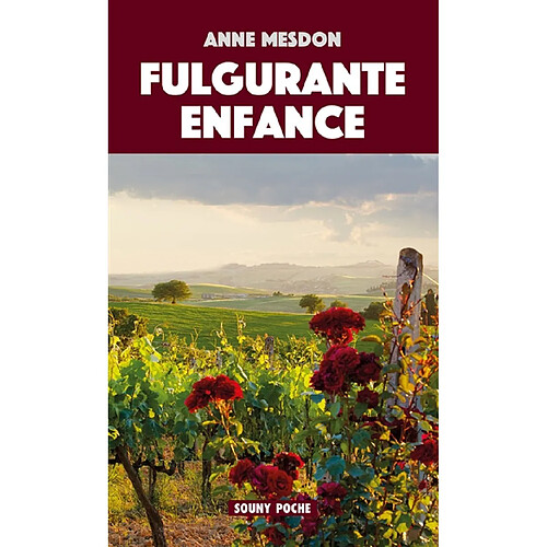 Fulgurante enfance · Occasion