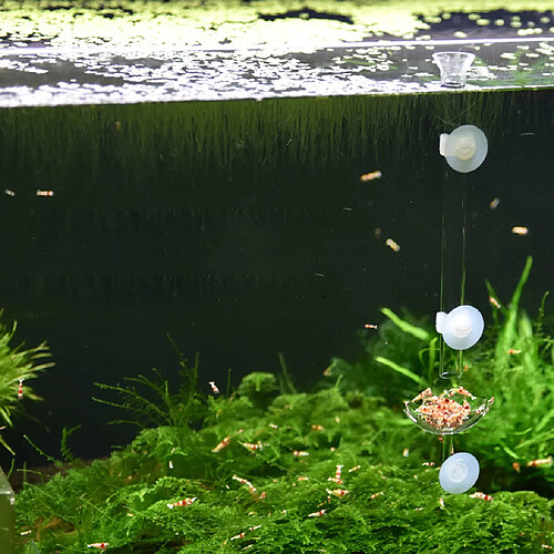 Crevette de réservoir de poissons d'aquarium alimentant le plat de plat de nourriture avec le tube de conducteur 400mm