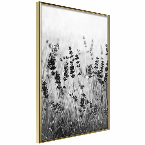 Paris Prix Affiche Murale Encadrée Shadow of Meadow 30 x 45 cm Or