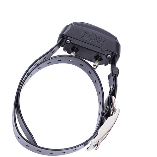 Collier supplémentaire pour collier de dressage Dogtrace Pro étanche