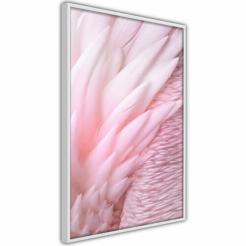 Paris Prix Affiche Murale Encadrée Pink Feathers 20 x 30 cm Blanc