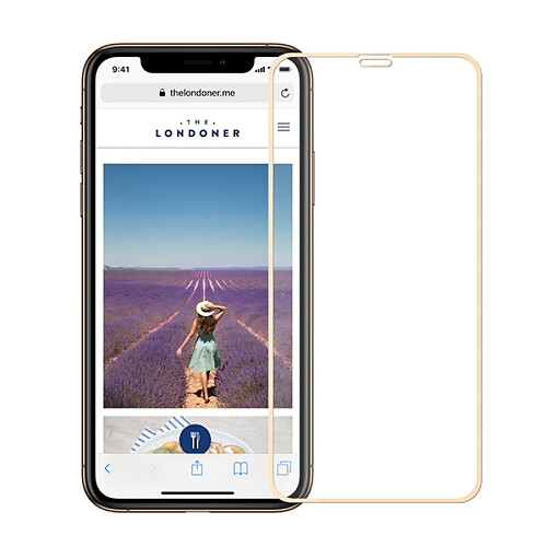 Wewoo Film de verre trempé plein écran anti-déflagrant anti-déflagrant dureté de surface 2,5H 9H pour iPhone XS Max (Or)