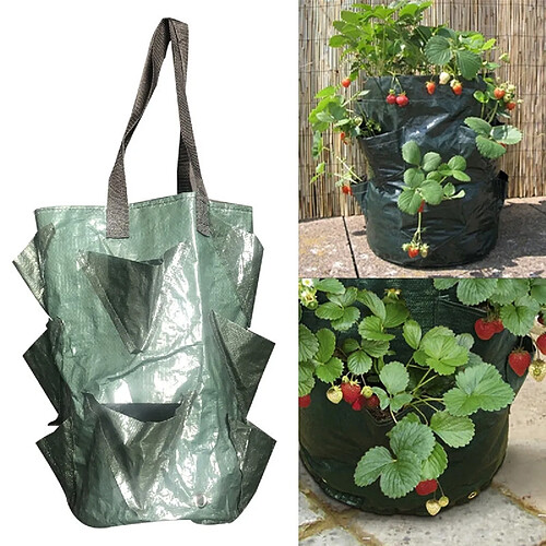 Wewoo CMD-3 sac de plantation de fraises suspendues en PE de 3 gallonssac de de fleurs horticoles vert