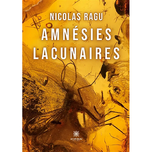 Amnésies lacunaires · Occasion