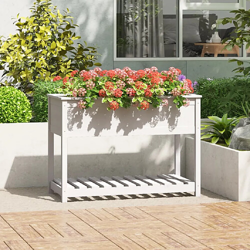 vidaXL Jardinière avec étagère Blanc 111,5x54x81 cm Bois massif de pin