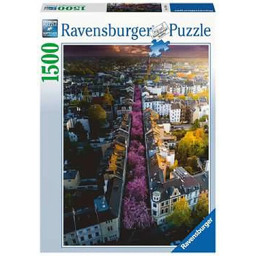 Ravensburger 1500 pcs paysage Bonn en fleurs