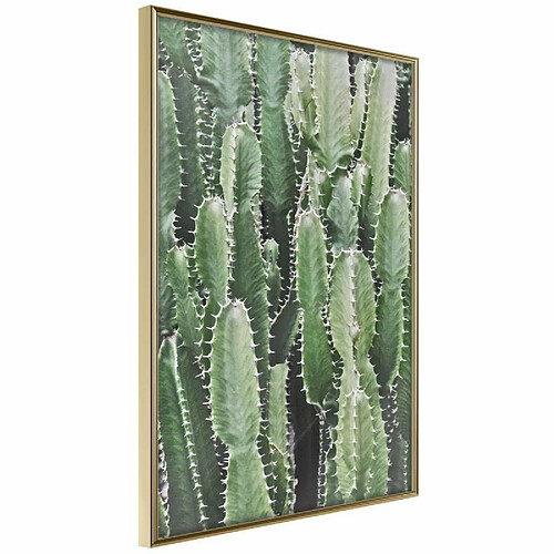 Paris Prix Affiche Murale Encadrée Cactus Plantation 30 x 45 cm Or