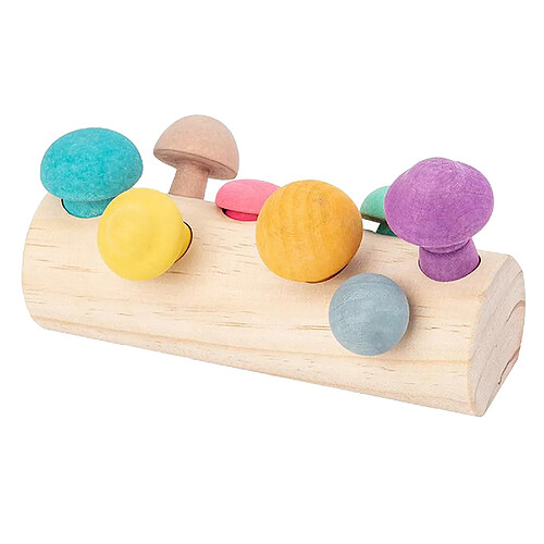 Meilleur Apprentissage Champignon Jardin Jouets Éducatifs Interactifs pour 1 à 3 Ans Nourrissons et Tout-petits Couleurs, numéros Jeux pour Enfants