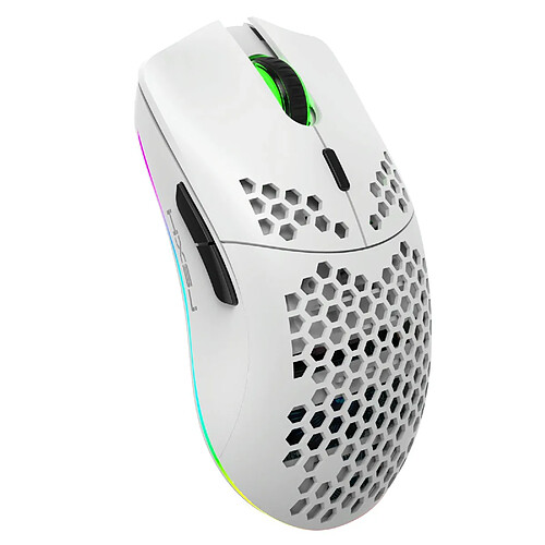 Yonis Souris Gaming Sans Fil Rechargeable RGB