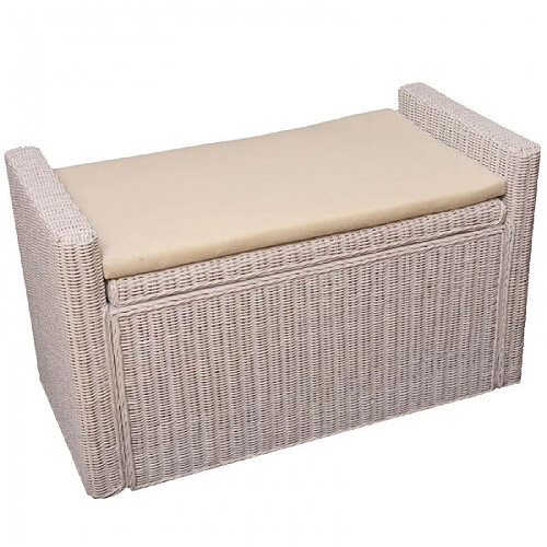 Decoshop26 Banc banquette / coffre de rangement en rotin blanc BAN04018