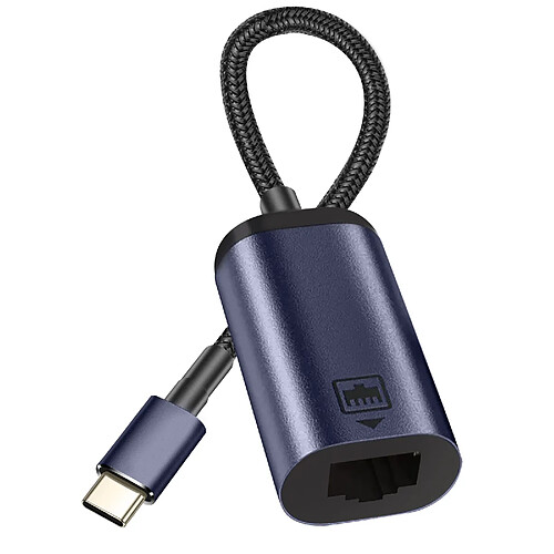 Avizar Câble Adaptateur USB-C vers Ethernet Débit 100Mbps Longueur 10cm Gris Foncé