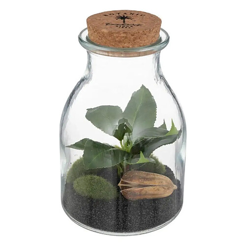 But Botanique terrarium H. 19,5 cm BOTA Vert